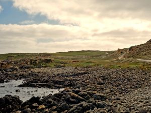 Cape Wickham 11th